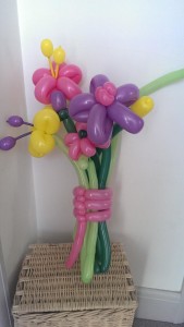 Balloon flowers 2